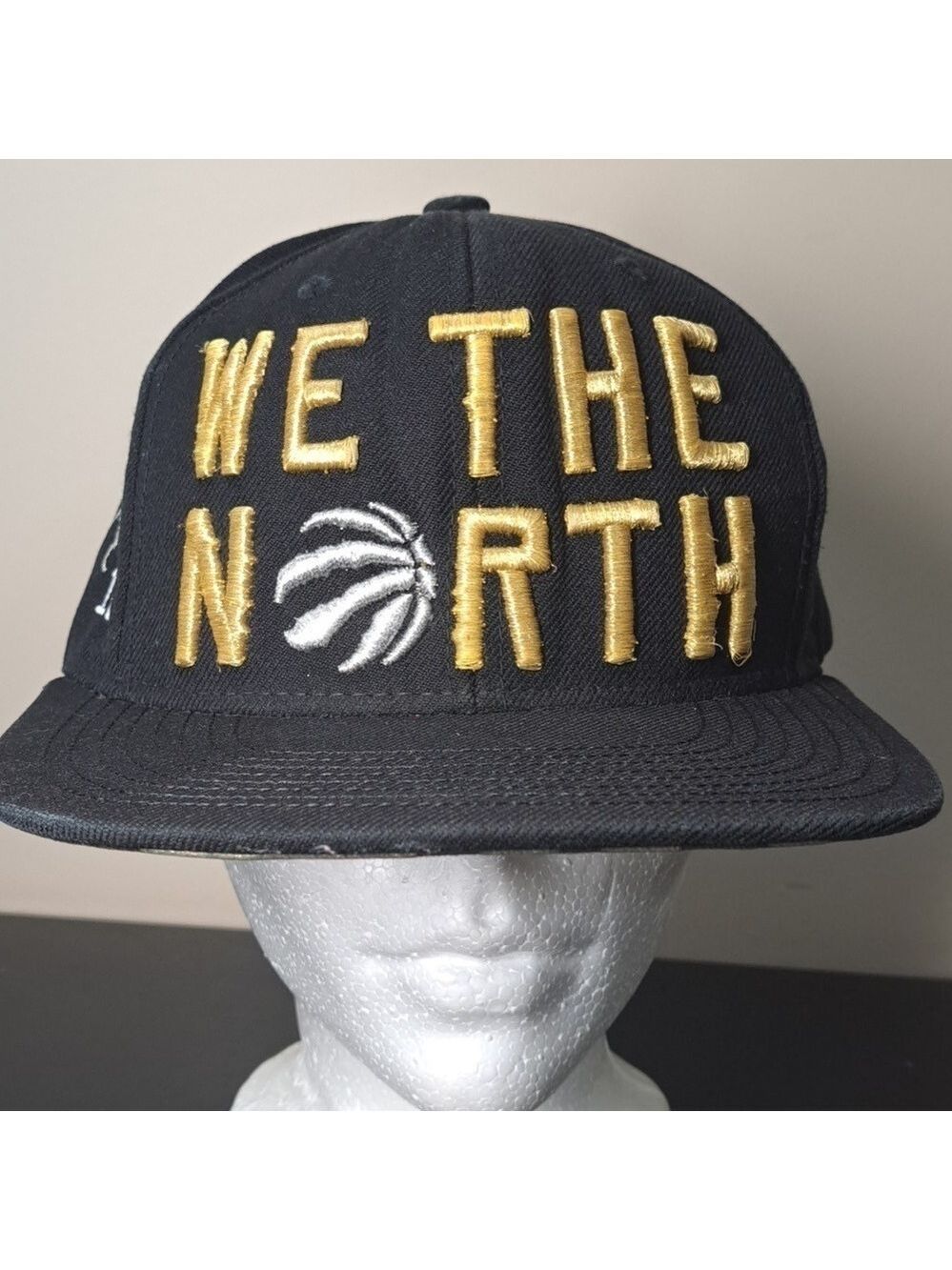 Mitchell & Ness We The North Toronto Raptors Hat Snap Back DeDar Darnell #10